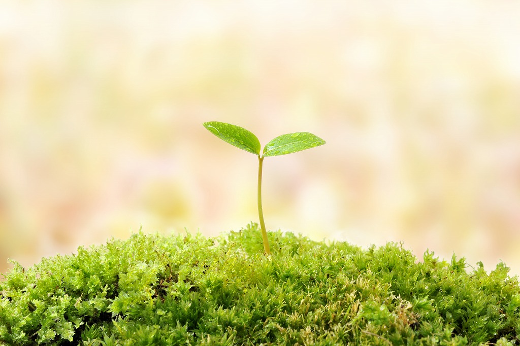 資格支援あり！ダイヤモンドコアを扱うプロとして働きませんか？